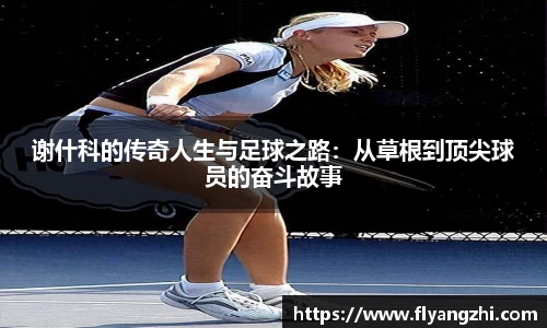 谢什科的传奇人生与足球之路：从草根到顶尖球员的奋斗故事