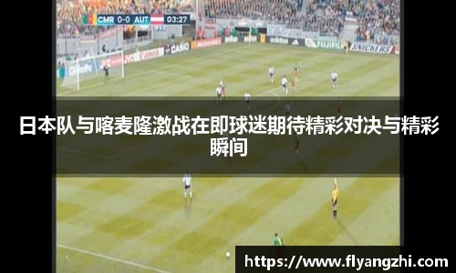 半岛·BOB官方网站